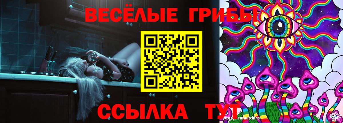 Псилоцибиновые грибы Psilocybe Полевской